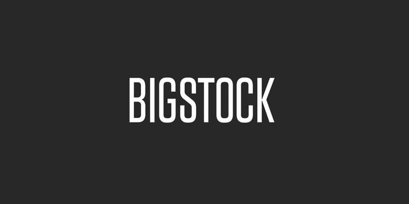 Logo da Bigstock