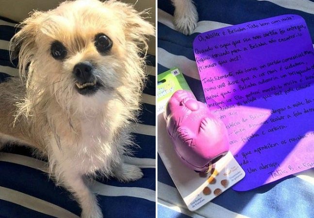 Fotografia de um cachorro e uma carta ao seu lado escrita à mão. 