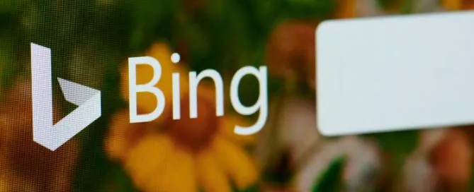 A imagem é um zoom no logo do Bing com um fundo florido