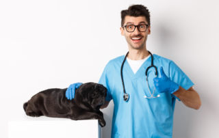 Marketing Digital Veterinário: um guia completo para atrair mais clientes
